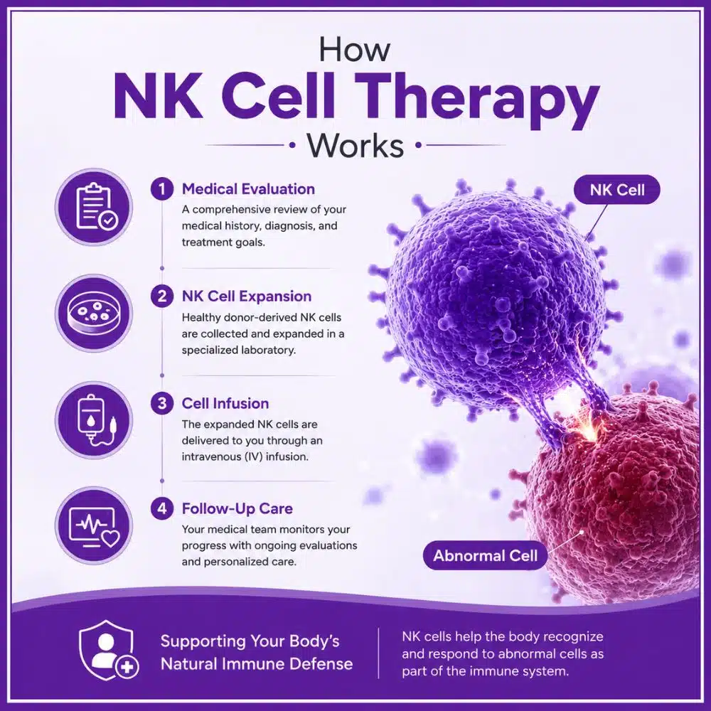 NK Cell Therapy: A Complete Guide to Natural Killer Cells, Cancer Immunotherapy, and Immune System Support 2 NK cell therapy