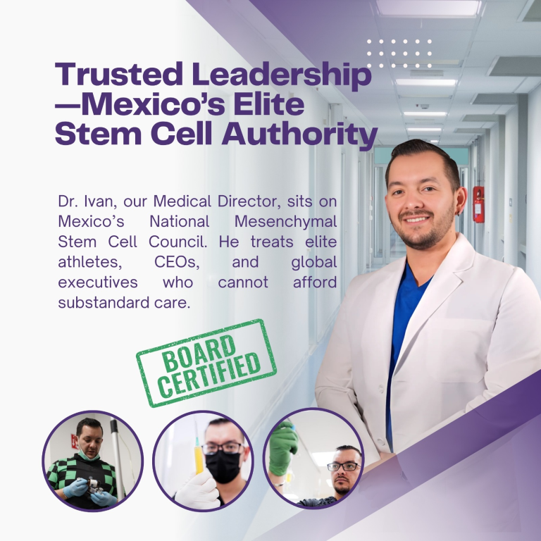 WhatsApp Image 2025 08 11 at 19.42.53