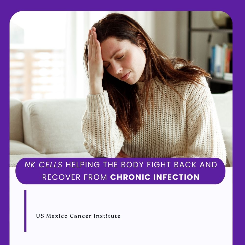 NK Cells Helping the Body Fight Back and Recover from Chronic Infection