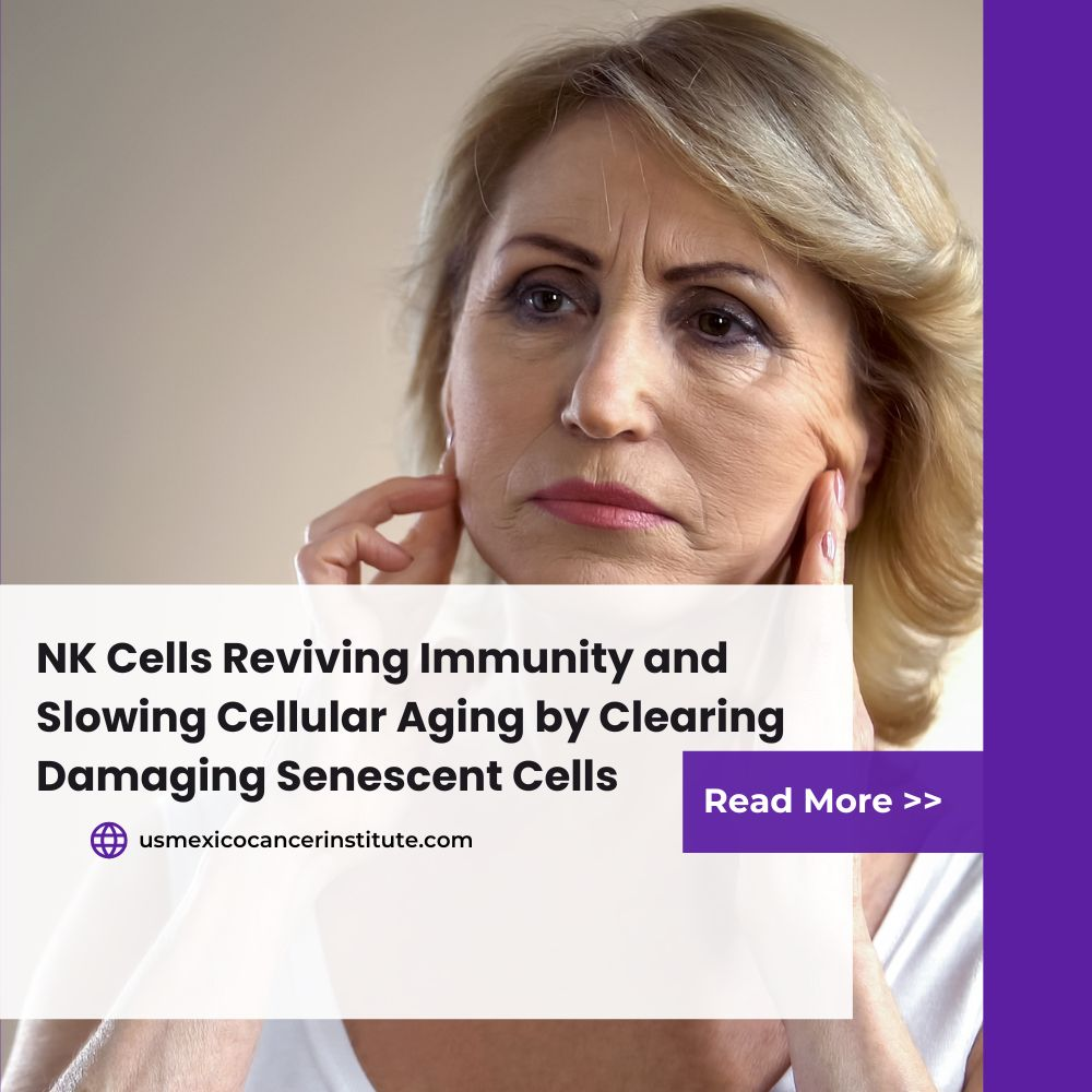 NK Cells Reviving Immunity and Slowing Cellular Aging by Clearing Damaging Senescent Cells