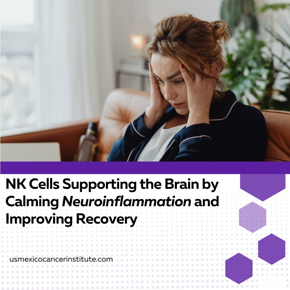 NK Cells Supporting the Brain by Calming Neuroinflammation and Improving Recovery