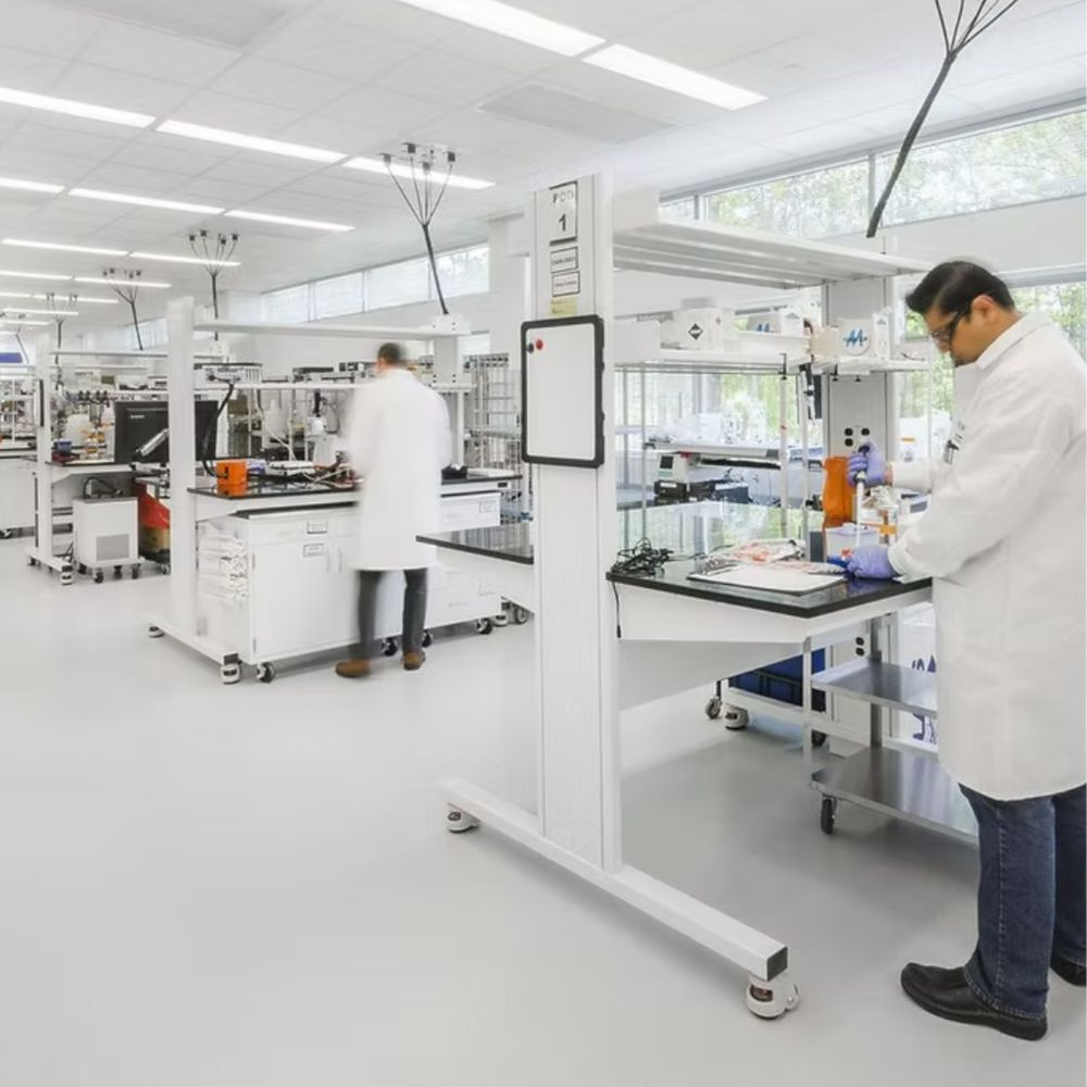 natural killer cells therapy