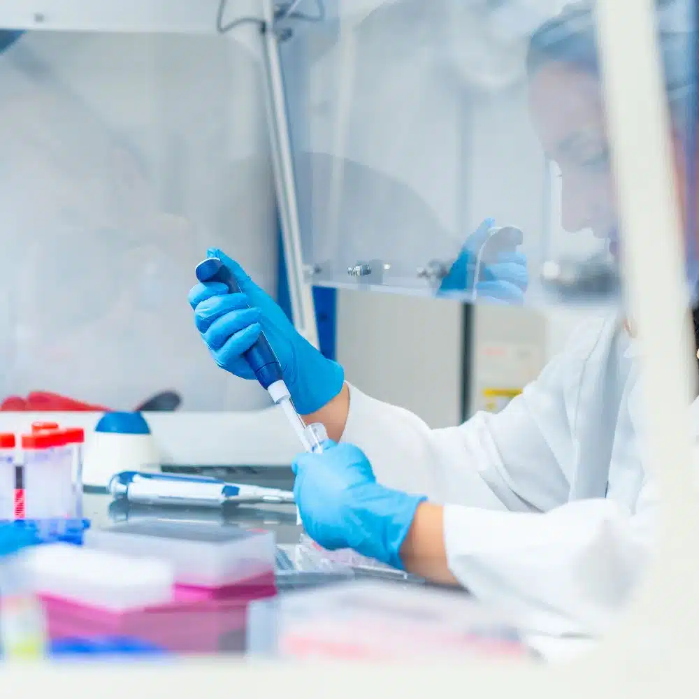 natural killer cells