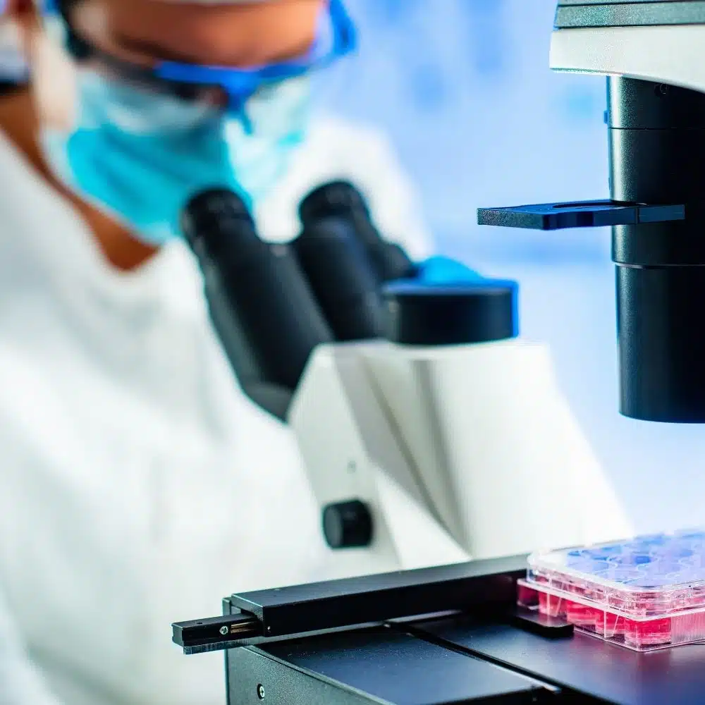 how do nk cells kill