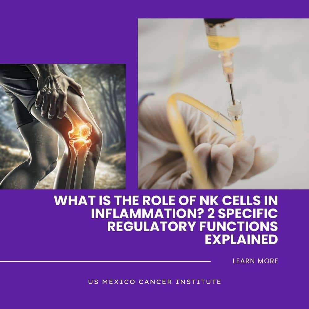 What Is the Role of NK Cells in Inflammation? 2 Specific Regulatory Functions Explained
