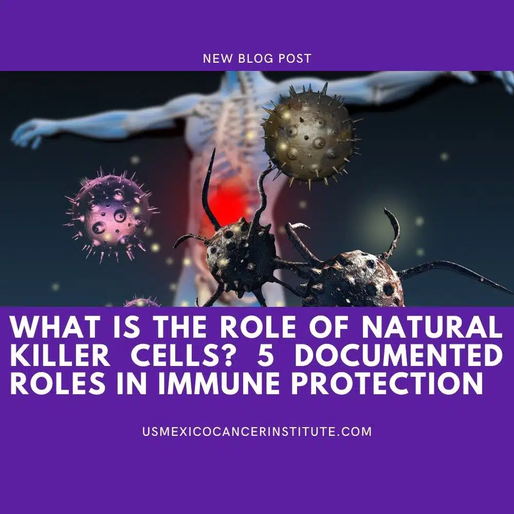 What Is the Role of Natural Killer Cells? 5 Documented Roles in Immune Protection