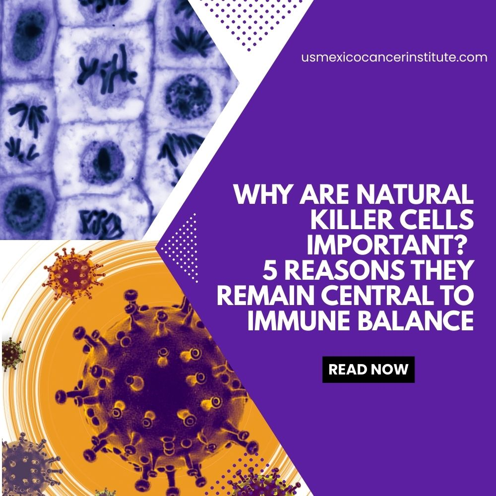 Why Are Natural Killer Cells Important 5 Reasons They Remain Central to Immune Balance