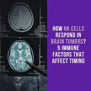 How NK Cells Respond in Brain Tumors? 5 Immune Factors That Affect Timing
