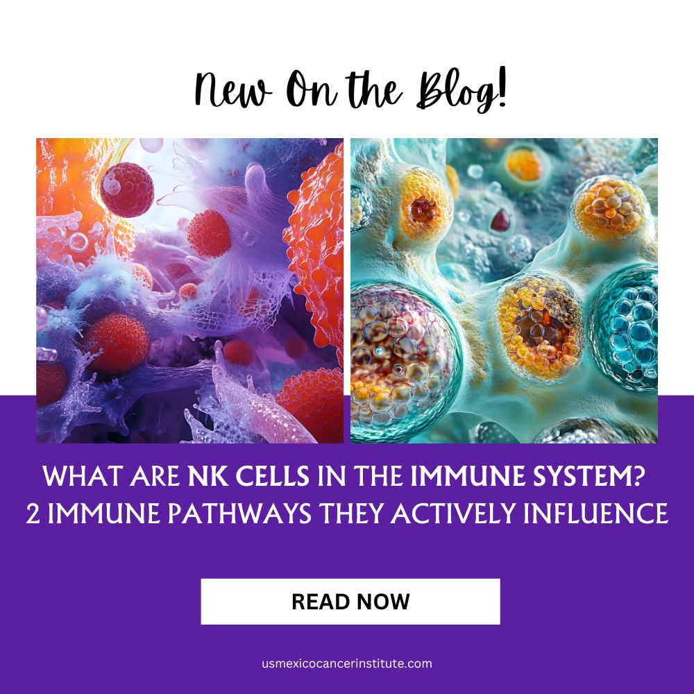 What Are NK Cells in the Immune System 2 Immune Pathways They Actively Influence